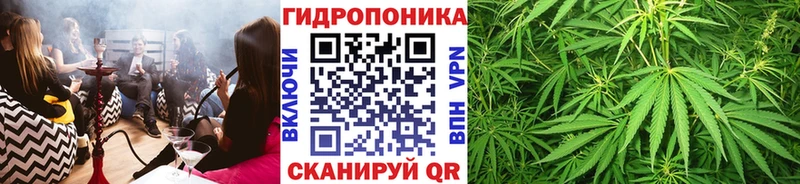 Конопля марихуана  Пласт 